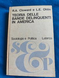 Teorie delle bande delinquenti in America 