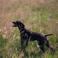 India sta aspettando solo te