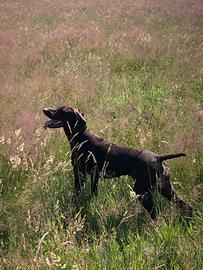 India sta aspettando solo te