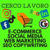 Esperto E-commerce, Social, Web Marketing, Grafica