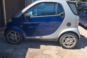 Smart passion