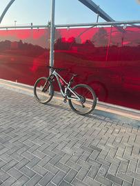 Lapierre zesty am6.9