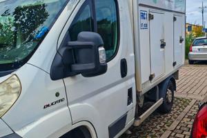 FIAT DUCATO FRIGO ISOTERMICO CON GRUPPO FRIGORIFER