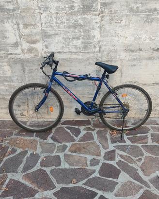 Mountain bike