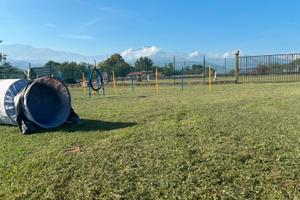 Orto, spazio verde, cinofilo, relax