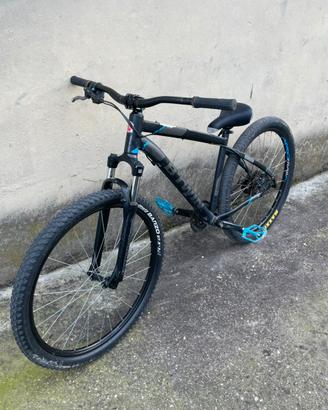 Whellie bike