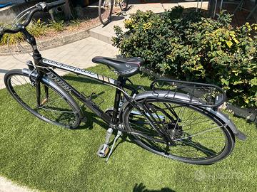 Bici da uomo