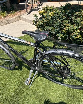 Bici da uomo