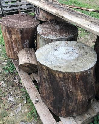 Ceppo di legno