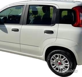 Porta posteriore sinistra Fiat Panda 3 serie