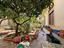 Immagine 19