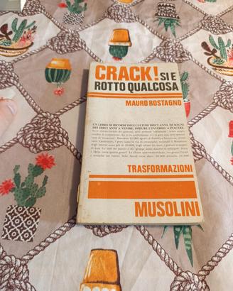 libro Crack! si è rotto qualcosa di Rostagno 