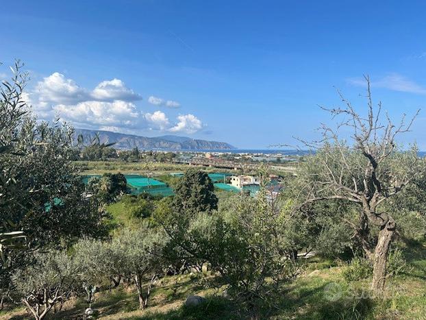 Terreno Agricolo Terme Vigliatore