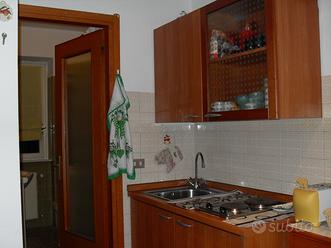 Bilocale in magnolta