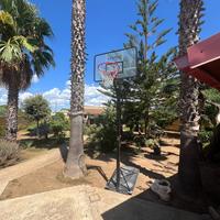 Canestro Tarmak B700 Pro Regolabile