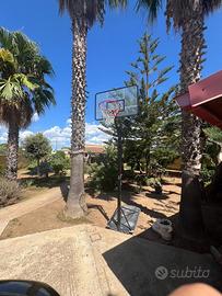 Canestro Tarmak B700 Pro Regolabile