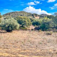 Terreno agricolo rif.57/25