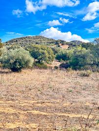 Terreno agricolo rif.57/25