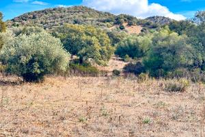 Terreno agricolo rif.57/25