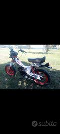 MZV Cobra 50cc  1988  con librettino 