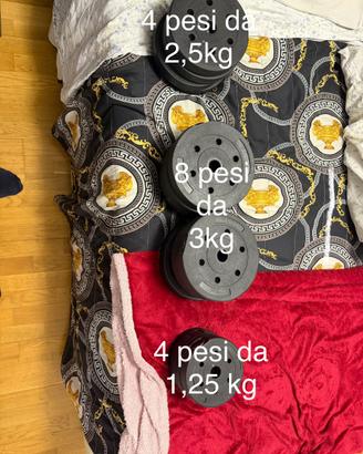 Pesi con bilanciere