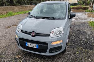 Fiat Panda Hybrid   Firefly 2021