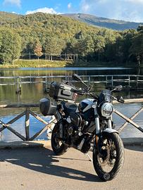 Voge Trofeo 525acx