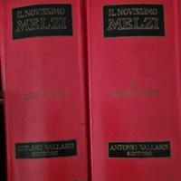 Il Nuovissimo Melzi anni '60