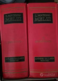 Il Nuovissimo Melzi anni '60