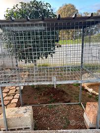 Gabbia per pappagalli