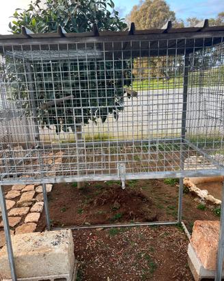 Gabbia per pappagalli