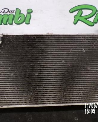 RADIATORE CLIMA TERRANO II R20 3.0 DiT 2002