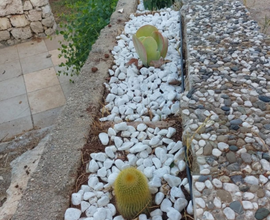 Casa vacanze a corsano, lecce