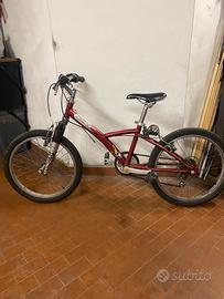 Bicicletta da bambino 20”