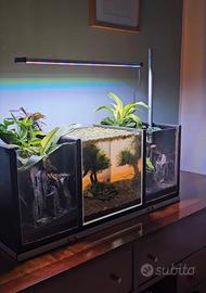 Acquario