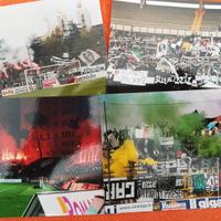 Fototifo Ultras Siena