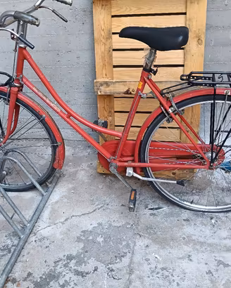 bicicletta 