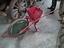 Immagine 6