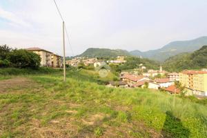 TER. AGRICOLO A ZOGNO