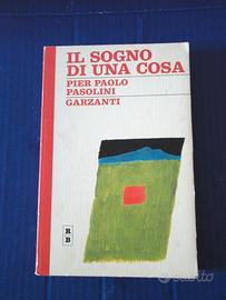 Il sogno di una cosa