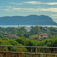 3 LOCALI A OLBIA