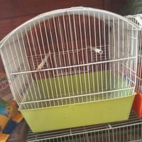 Gabbie a prezzo simbolico