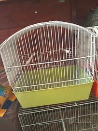 Gabbie a prezzo simbolico