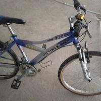 Bicicletta MTB SILVER STAR