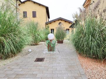 ATTIVITÀ A REGGIO NELL'EMILIA