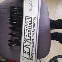 molla mono ammortizzatore 