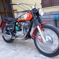 Ducati scrambler 350