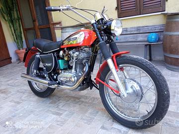 Ducati scrambler 350