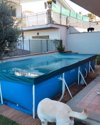 piscina fuori terra