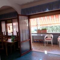 Fronte mare zona bagno delfino